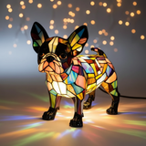 The Brave Boston Terrier