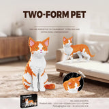 Assembly Model - Pet building blocks