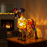 Bright Boxer