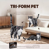 Assembly Model - Pet building blocks