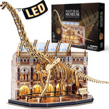 Assembly Model - Dinosaur Museum