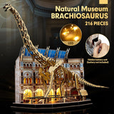 Assembly Model - Dinosaur Museum