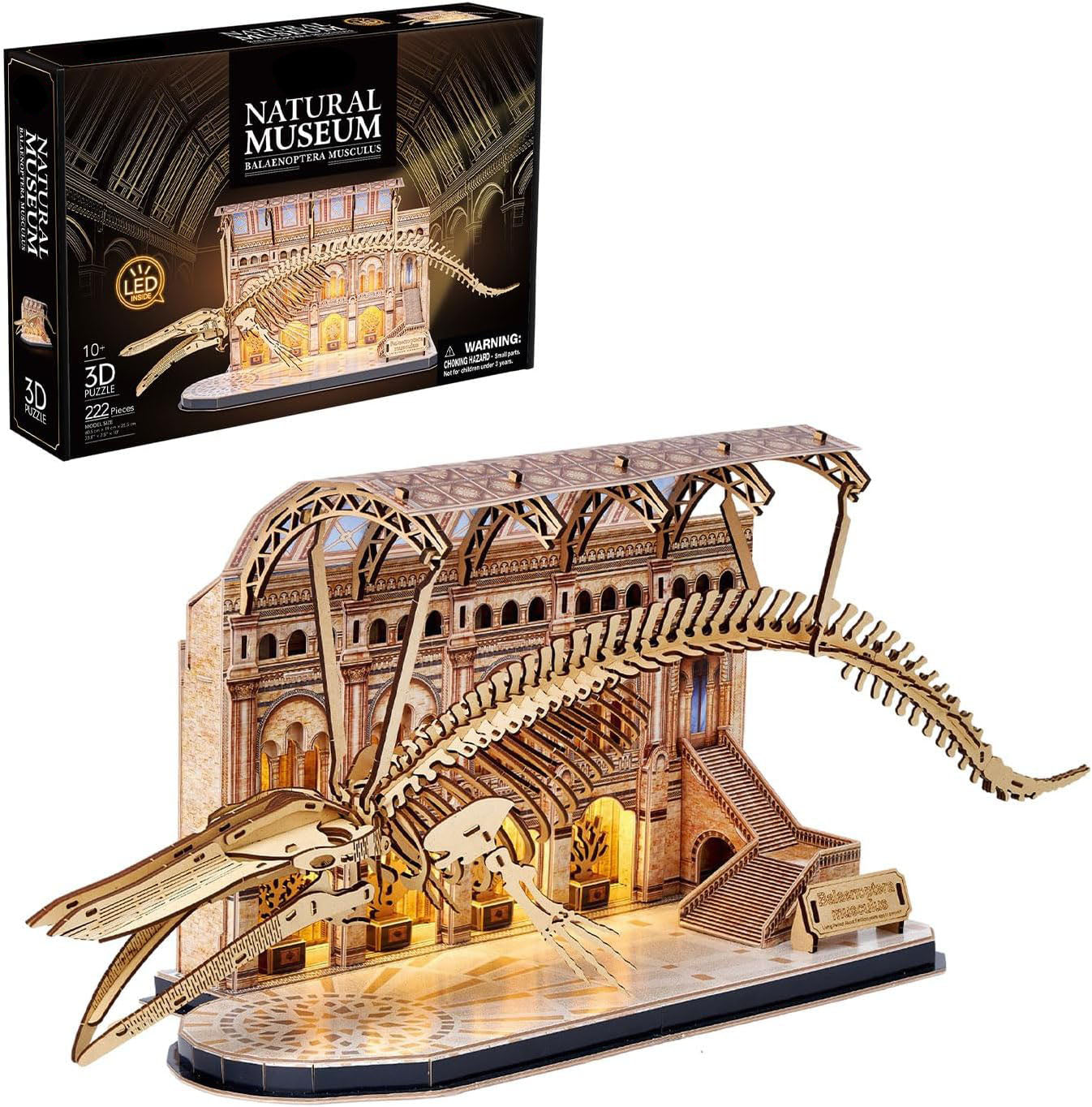 Assembly Model - Dinosaur Museum