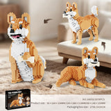 Assembly Model - Pet building blocks