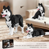 Assembly Model - Pet building blocks