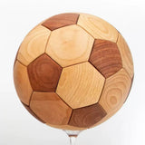 Assembly Model -  Soccer Ball