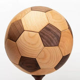 Assembly Model -  Soccer Ball