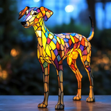 Brilliant Whippet